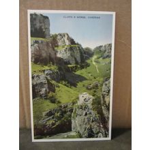 CLIFFS AND GORGE CHEDDAR SOMERSET unused vintage postcard by Dennis c.1960 =