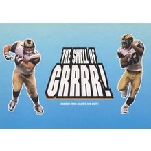 The Smell Of American Football NFL Helmets Superbowl Game Postcard