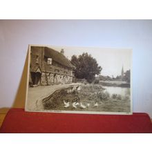 SALISBURY CATHEDRAL AND OLD MILL, WILTSHIRE unused postcard by Harvey Barton =