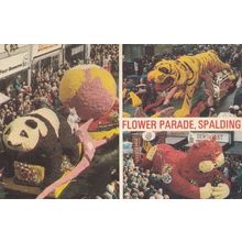 Panda & Chinese Cat Made Of Flowers Parade Spalding 1970s Postcard