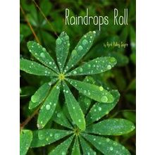 Weather Walks Raindrops Roll