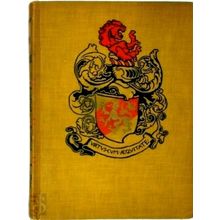 The Story of the Champion's of the Round Table - Howard Pyle