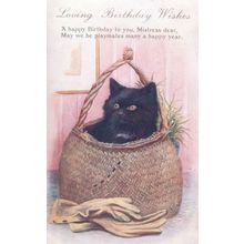 Posh Rubber Gardening Gloves Happy Birthday Black Cat Antique Greetings Postcard