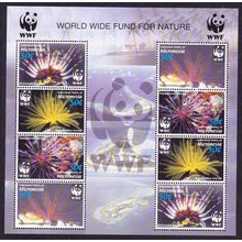 Micronesia WWF Feather Stars Sheetlet of 2 sets 2005 MNH SG#1347-1350