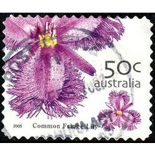 Australia 2005 Flower 50c Used P&S Stamp 11.25 Perf. Fringe Lily .