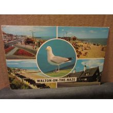 WALTON-ON-NAZE, ESSEX multiview.. used postcard 1975 postmark... seagull =