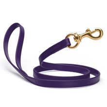 Dog Pet Leash with Brass Hardware W 3/4” L 4 FT Violet Purple