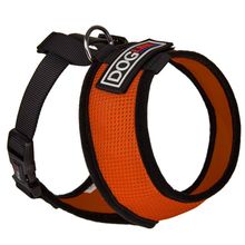 Nylon Mesh Harness Orange 10" 12"-17"