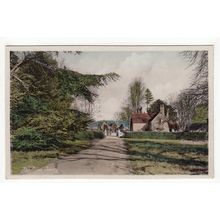 The Drive Oakley Postcard Bedfordshire