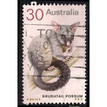 AUSTRALIA, MAMMALS, Brushtail Possum, white 1974, 30c, #2