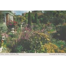 Hidden Gardens Gristhorpe Yorkshire Filey Photo Postcard