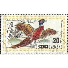 CZECHOSLOVAKIA, BIRD, Common Pheasant, Phasianus colchicus, yellow 1971, 20h, #2