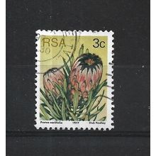 SouthAfrica.SG416 3c Protea Neriifolia.Fine Used.Sep25j