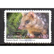 AUSTRALIA: 2023 NATIVE ANIMALS, $1.20 EASTERN QUOLL USED S/A STAMP. 038/039