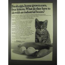1967 Ohio Edison Company Ad - Fresh Eggs, Free Kittens