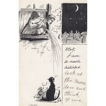 Angry Neighbour Throwing Water On Black Cat Wailing Old Comic Postcard