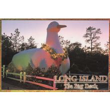 Long Island The Big Duck at Night Illuminations New York Postcard