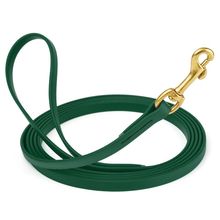 Dog Pet Leash Hunter Green w/ Brass Hardware W 1/2" - L15'