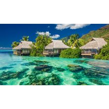 Ocean shore Poster Canvas Movie Film Print A0 A1 A2 A3 A4 A5 A6 Art Wall Decorat