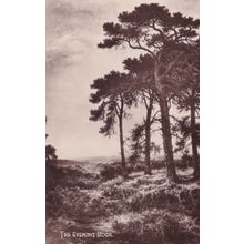 The Evening Hour BW Leader Painting Antique Postcard