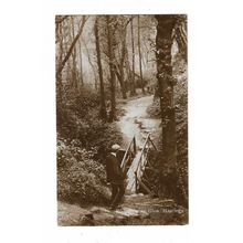 Ecclesbourne Glen, Hastings, Sussex, RP Postcard.