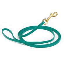 Dog Pet Leash Blue Aqua w/ Brass Hardware W 3/8" - L15'