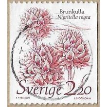 1985 - Black Vanilla Orchid - 16804