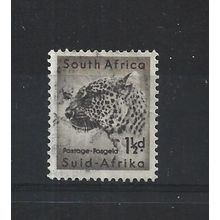 SouthAfrica.SG153 1 1/2d Leopard.Fine Used.Aug25b