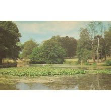 Barclay Park Hoddesdon Hertfordshire 1970s Postcard