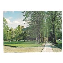 LIME WALK, WINCHESTER CATHEDRAL unused vintage postcard by Judges =