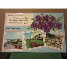 EASTBOURNE, SUSSEX multiview used vintage postcard by Elgate violets #