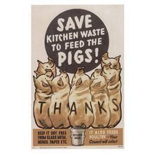 Save Kitchen Waste To Feed The Pigs Poultry Military WW2 Postcard