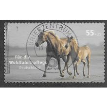 GER 2007 €0.55 +25(S/A) ' PETS -HORSES' FINE USED (EBID53-698)
