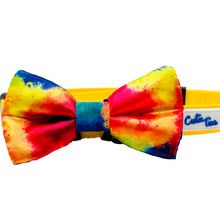 Cutie Ties Dog Bow Tie One Size Rainbow Tie Dye