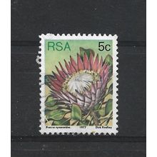 SouthAfrica.SG418 5c Protea Cynaroides.Fine Used.Sep25t
