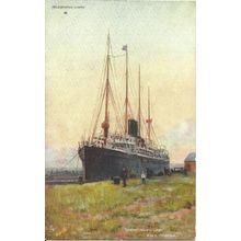 Orien t Line RMS OROTAVA Tuck Oilette Postcard (6229)