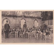 ED55 BLOODHOUND KENNELS -CHEVERNY