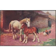 Horse, Foal and Chickens, 1942 - Salmon Postcard