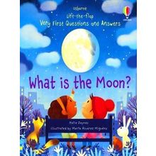 What Is The Moon Very First Liftthe Flap Questions Answers 1