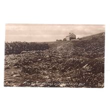 DOONE HOUSES & SHEPHERD'S HUT, DEVON unused vintage postcard by Frith =