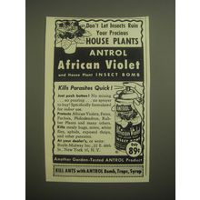1956 Antrol African Violet and House Plant Insect Bomb Advertisement