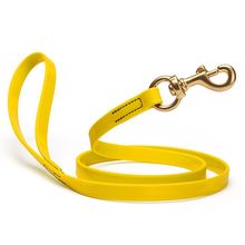 Dog Pet Leash with Brass Hardware W 5/8” L 4 FT Lemon Yellow