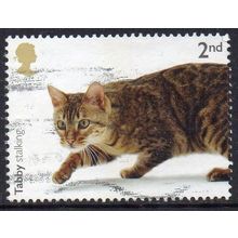 GB 2022 Cats of Great Britain - Tabby Stalking 2nd Used