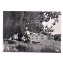 THE WEST FRONT, PETWORTH HOUSE, SUSSEX unused postcard 1960s RP /