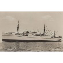 MS Lalandia Denmark East Asiatic Company Rare Ship Postcard