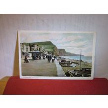 looking east, SIDMOUTH, Devon unused antique postcard Peacock series =
