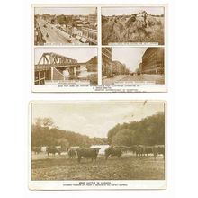 2 postcards lot Canada emigration advertising multiview scenes towns & cattle