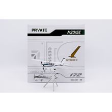 SKYHAWK II PRIVATE CESSNA 172 REG: N3015E - JC WINGS XX172001 1/72 - PRE ORDER