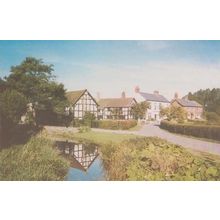 The Millstream Hereford Kathleen Freeman Ltd Postcard