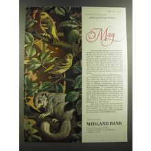 1964 Midland Bank Ad - Rarities of Wild Life - John Leigh Pemberton - May